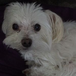 Meet your Posher, Beth